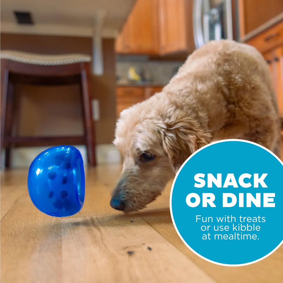 Outward Hound Lil' Snoop Interactive Treat Dispensing Dog Toy, Blue, 4" | Puzzle & Slow Feeder for Small & Medium Dogs - view 5