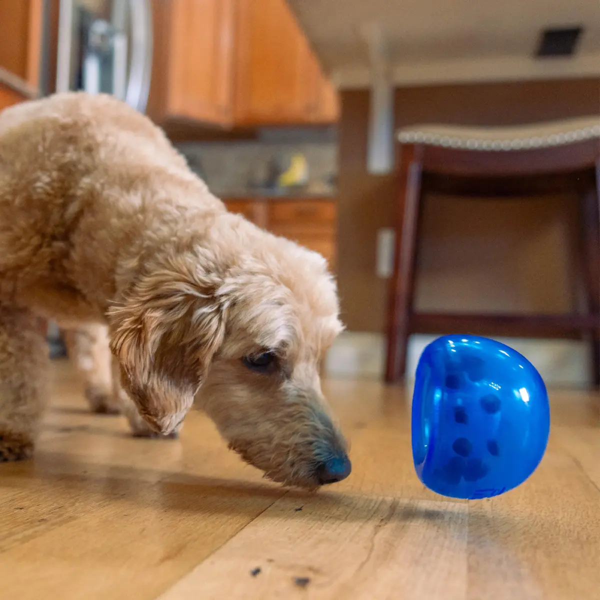 Outward Hound Lil' Snoop Interactive Treat Dispensing Dog Toy, Blue, 4" | Puzzle & Slow Feeder for Small & Medium Dogs - view 8