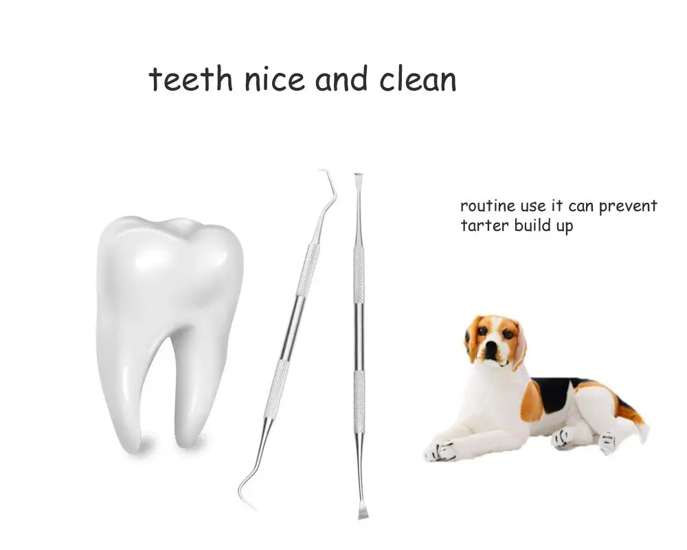 wzhe Dog Teeth Cleaning Tools Tarter Remover Canine Dental Scraper Scaler Set | 2-Piece Stainless Steel - view 5