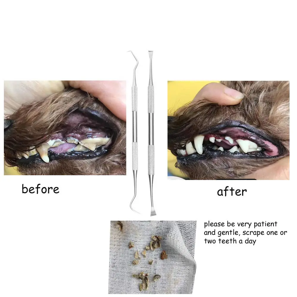 wzhe Dog Teeth Cleaning Tools Tarter Remover Canine Dental Scraper Scaler Set | 2-Piece Stainless Steel - view 3