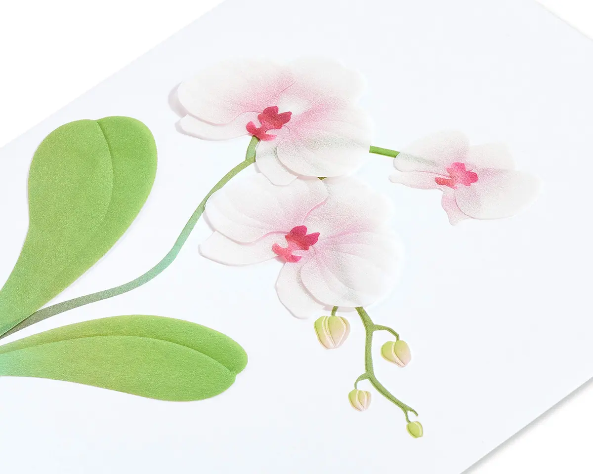 Papyrus Orchid Blank Card for Her 15.2 cm x 11.4 cm | Floral Embellished Design - view 5
