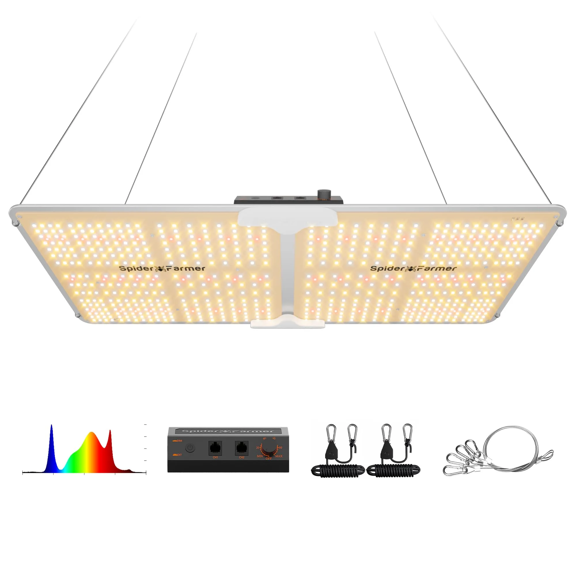 Electric Light