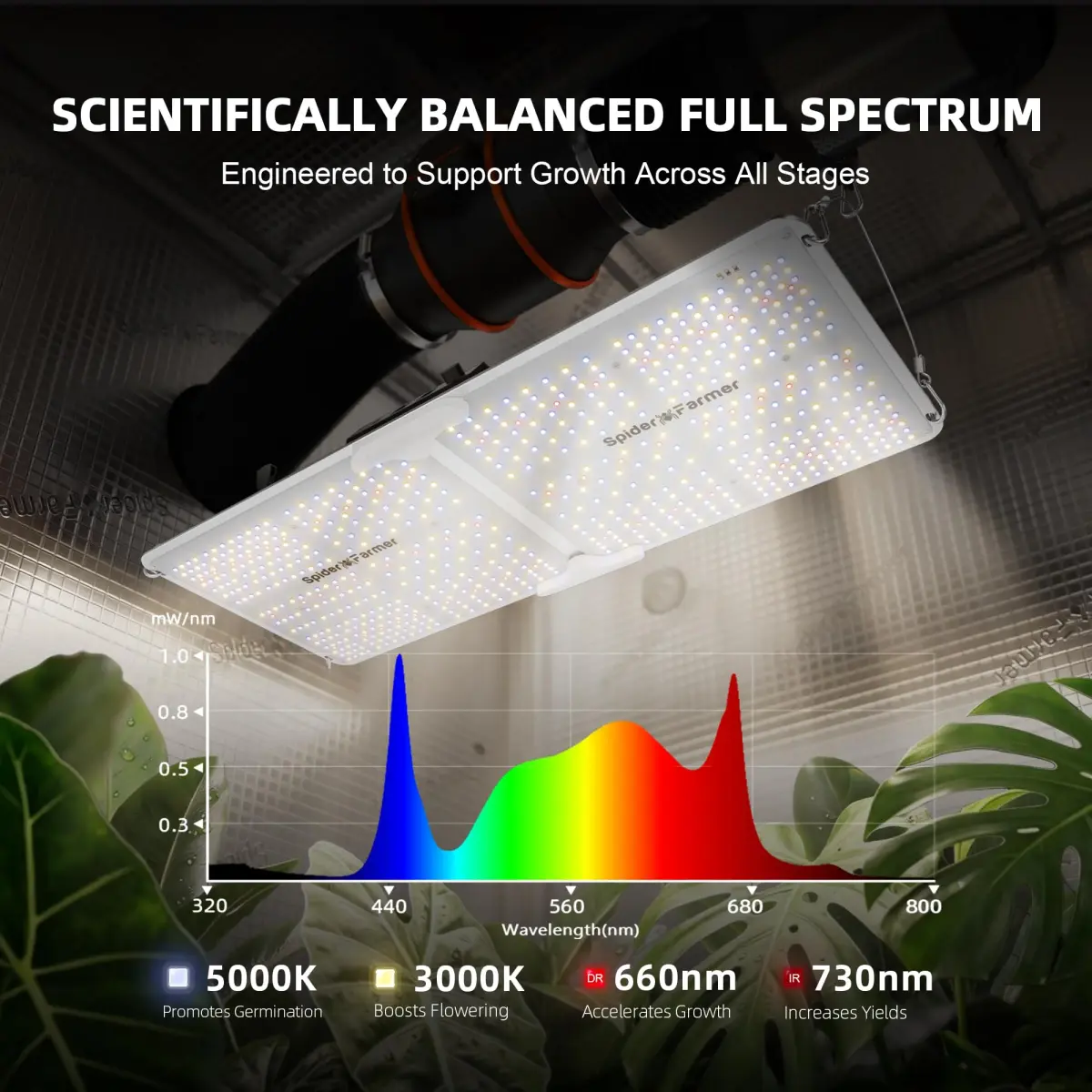 Spider Farmer SF2000 LED Grow Light 200W 2x4 ft Coverage | Full Spectrum Dimmable for Indoor Plants - view 5