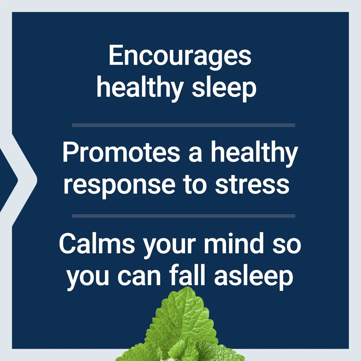 Life Extension Herbal Sleep PM, 30 Vegetarian Capsules | Supports Sleep & Stress Response - view 4