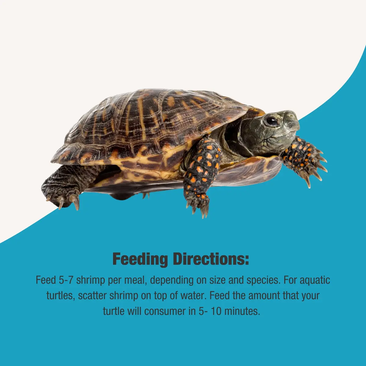 Fluker's Grub Bag Turtle Treats 12 oz | High Protein Freeze Dried River Shrimp for Aquatic Reptiles - view 4