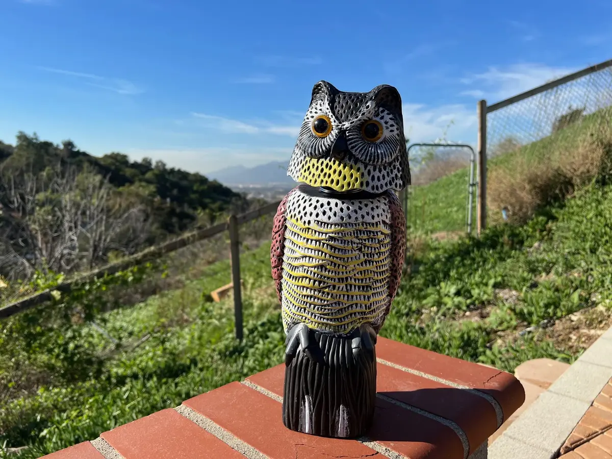 GiftExpress 16" Large Owl Decoy with Rotating Head | Realistic Garden Bird & Squirrel Deterrent for Outdoor Yard & Garden Protection - view 5