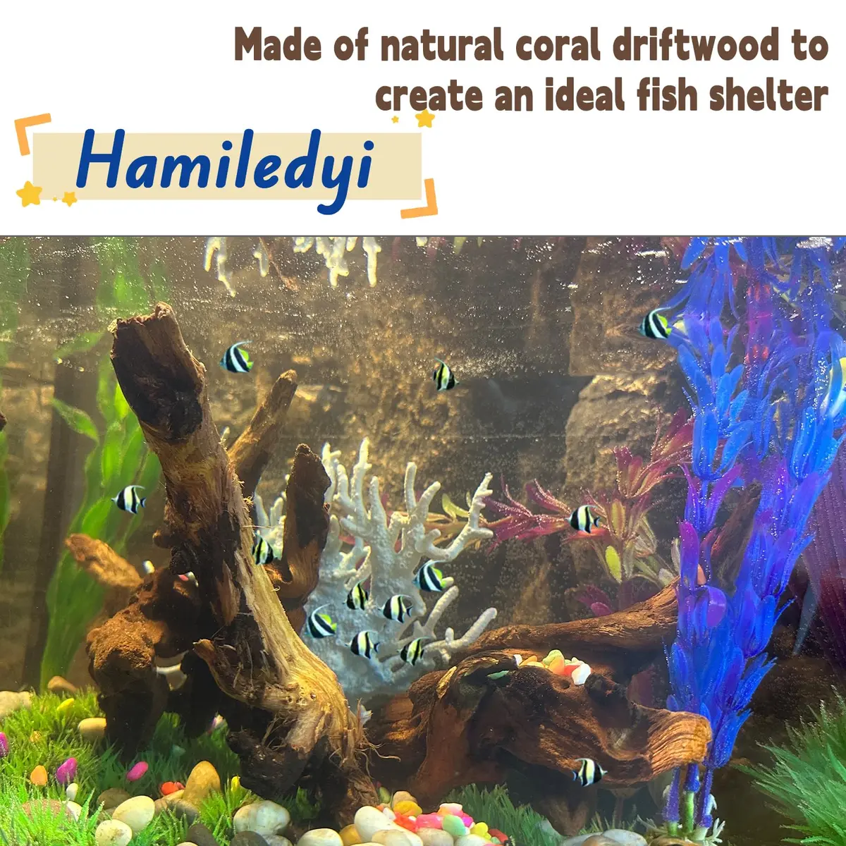 Hamiledyi Aquarium Driftwood 3.5-7in | Natural Betta Fish Tank Decor Accessories - view 3