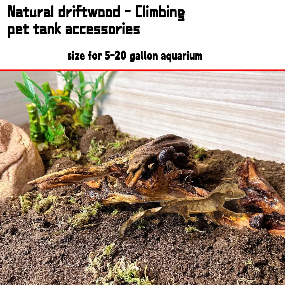 Hamiledyi Aquarium Driftwood 3.5-7in | Natural Betta Fish Tank Decor Accessories - view 4