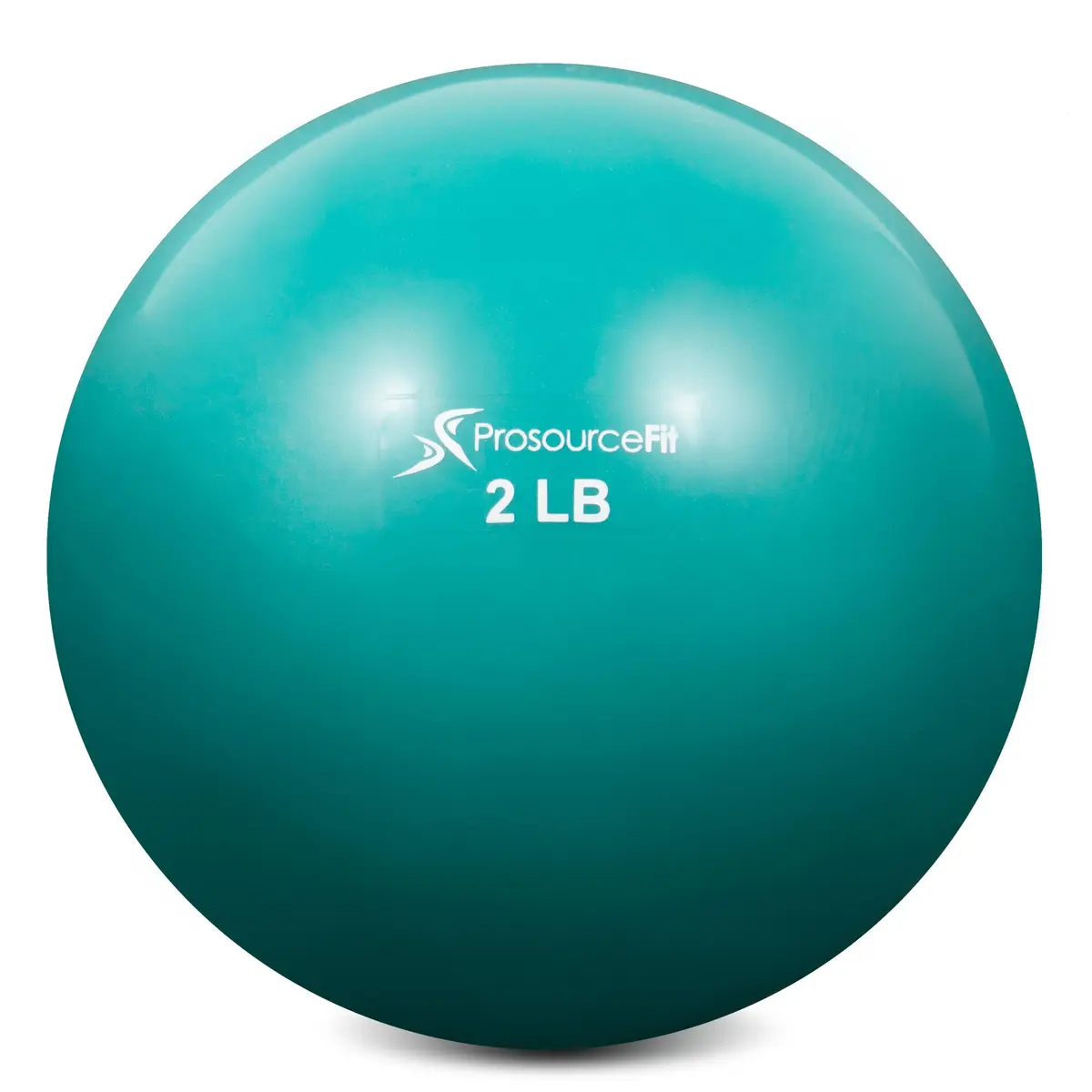 ProsourceFit Weighted Toning Exercise Ball 0.91 kg (2 lb) Aqua | Pilates, Yoga, Strength Training & Physical Therapy - main product image