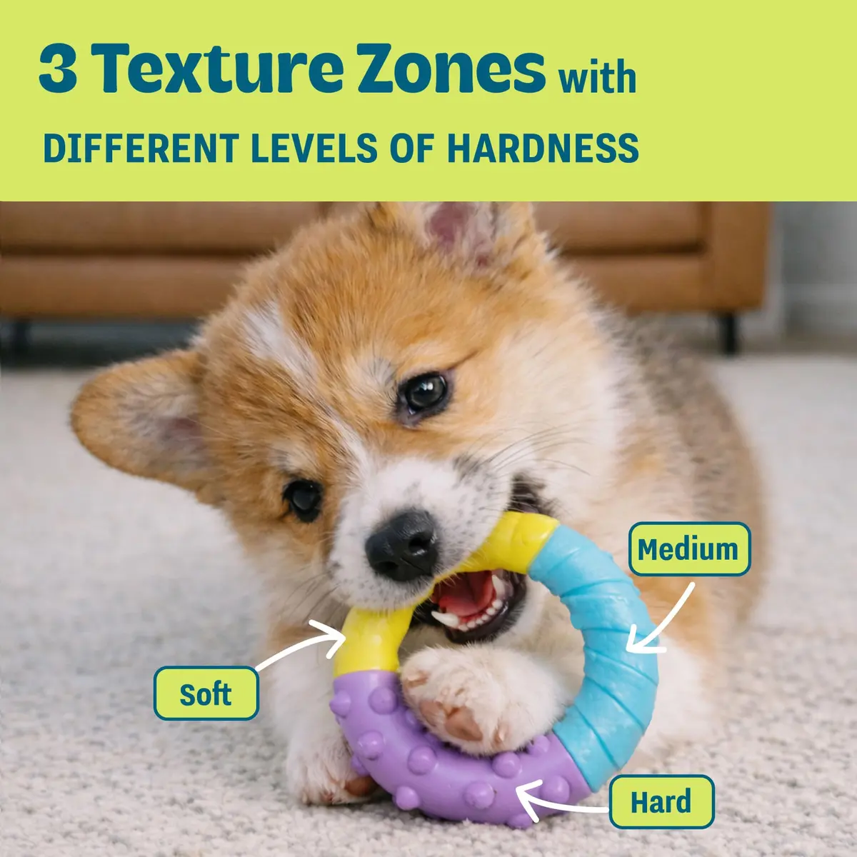 Pupstages Grow-With-Me Ring Dental Dog Chew Toy, 4.7" | Floats & Bounces, Soothes Gums - view 4