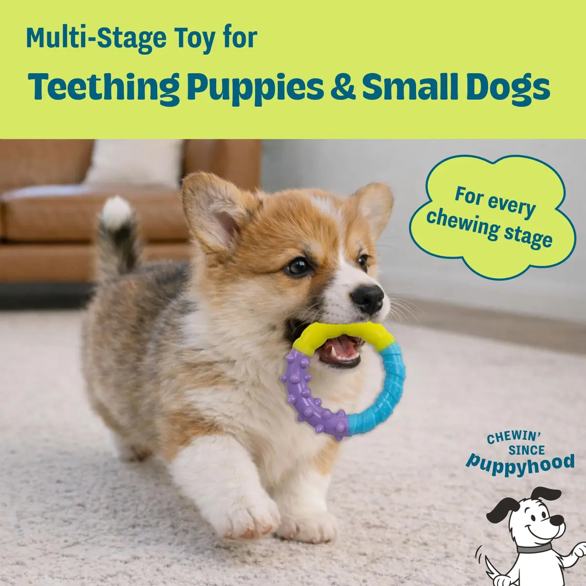 Pupstages Grow-With-Me Ring Dental Dog Chew Toy, 4.7" | Floats & Bounces, Soothes Gums - view 2