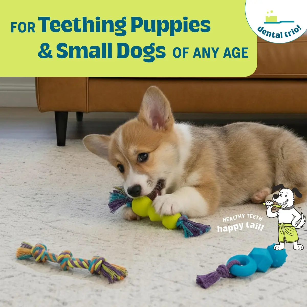 Pupstages Mini Dentachew Dental Dog Chew Toys, 5-8" | Supports Healthy Gums & Teething (110 characters) - view 2