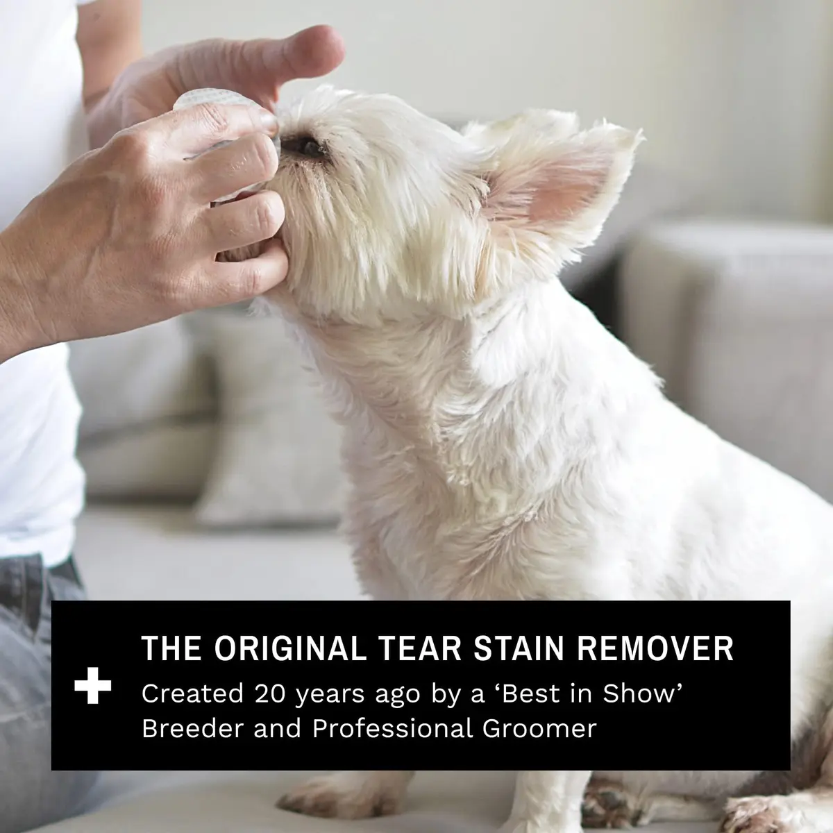 Eye Envy Tear Stain Wipes for Dogs 60 Wipes | Gently Clean & Remove Stains with Natural Formula - view 7