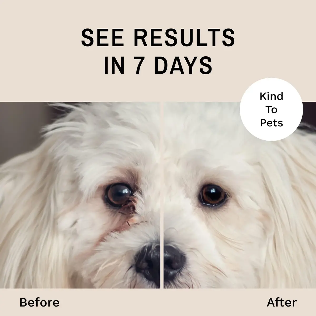 Eye Envy Tear Stain Wipes for Dogs 60 Wipes | Gently Clean & Remove Stains with Natural Formula - view 3