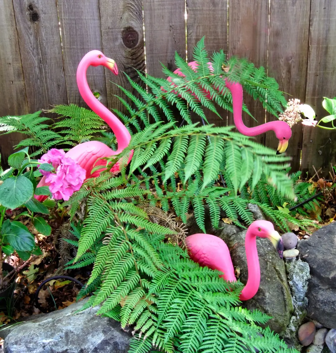 GiftExpress Pink Flamingos Yard Decorations 4 Pack 35.5cm (14" Tall) | Lawn Ornaments & Garden Decor for Outdoor Parties - view 3