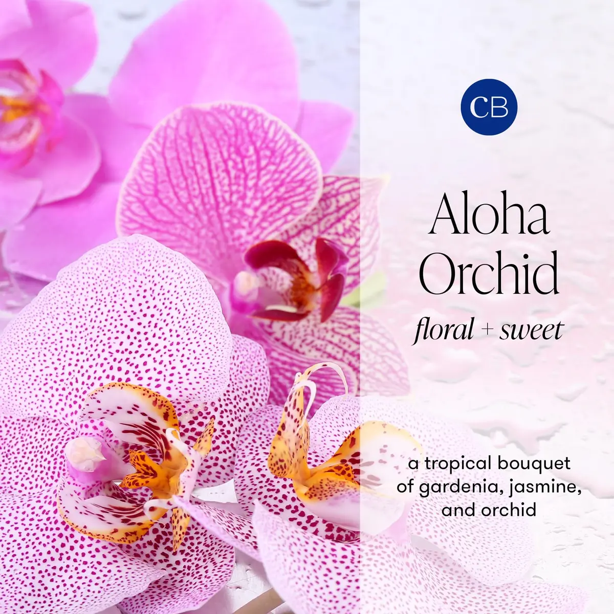 Capri Blue Aloha Orchid Diffuser Oil Refill 15ml (0.5 fl oz) | Long-Lasting Floral Home Fragrance - view 3