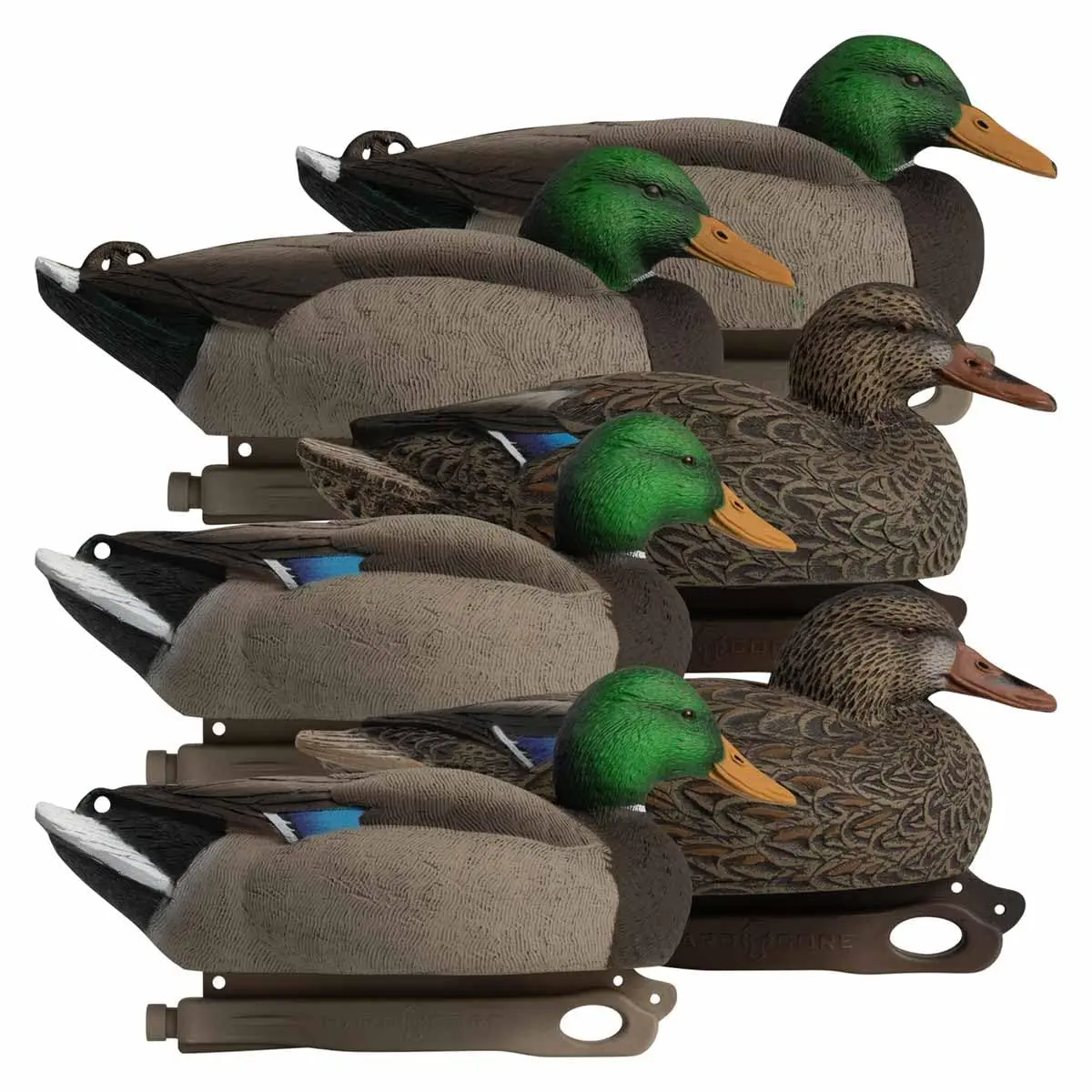 HARD CORE DECOYS Waterfowl Rugged Series Standard Mallard Decoys - 6 Pack | True-to-Life Drakes & Hens - main product image