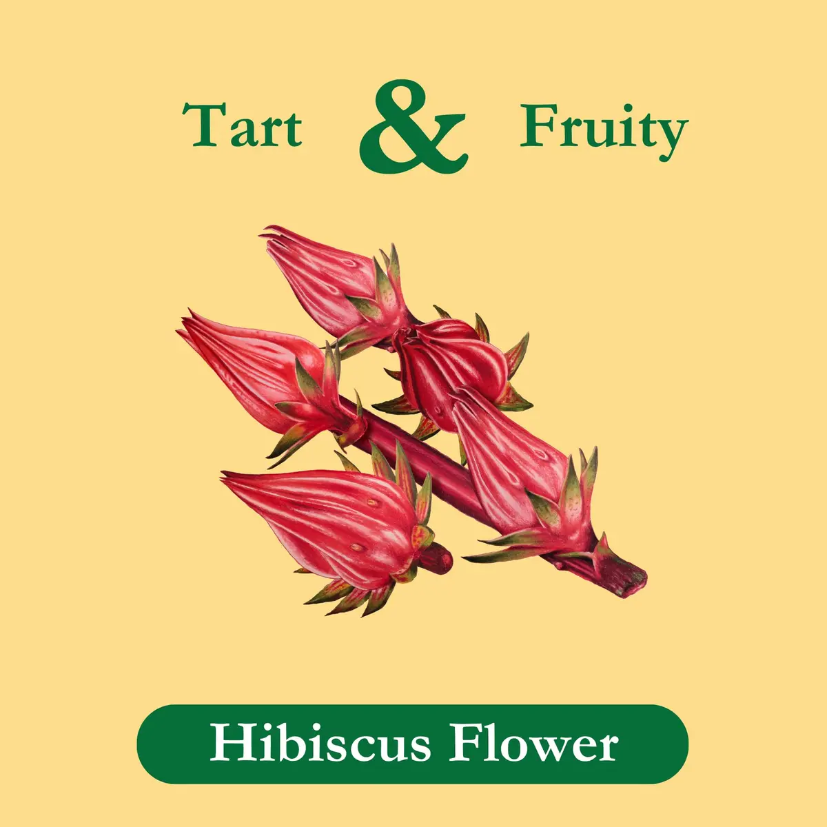 Tadin Hibiscus Tea, Herbal Tea, Caffeine Free, 24 Tea Bags | Floral & Fruity, Supports Wellness - view 2