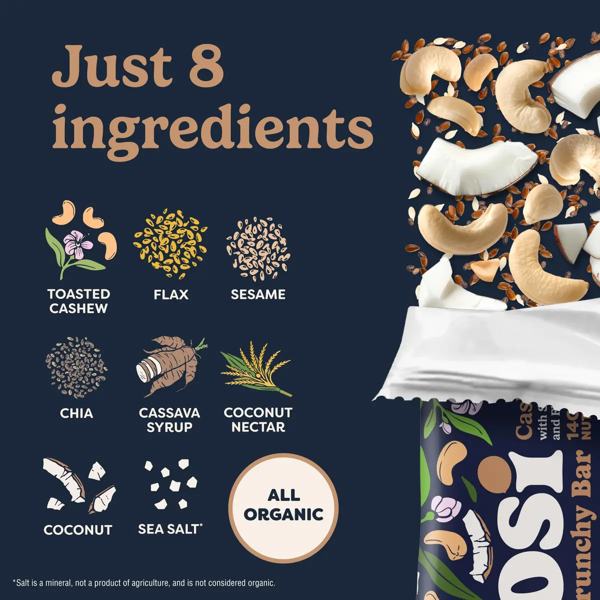 Tosi Plant Based Nut Bars Coconut 12 Pack | Vegan Snack with 14g Protein (2.4oz each) - view 5