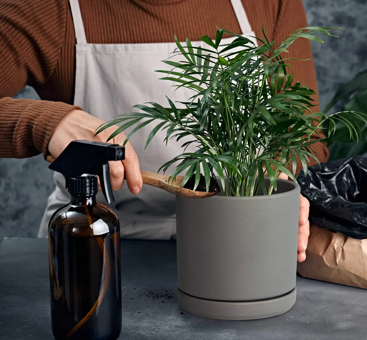 D'vine Dev 6 Inch Ceramic Planter Pot, Grey | Modern Indoor Cylinder with Drainage Hole - view 6