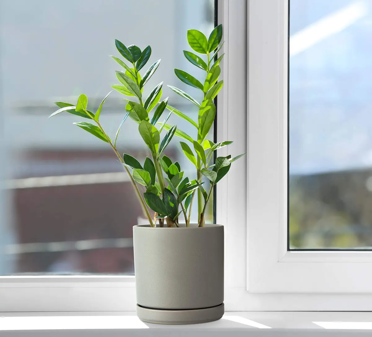 D'vine Dev 6 Inch Ceramic Planter Pot, Grey | Modern Indoor Cylinder with Drainage Hole - view 7