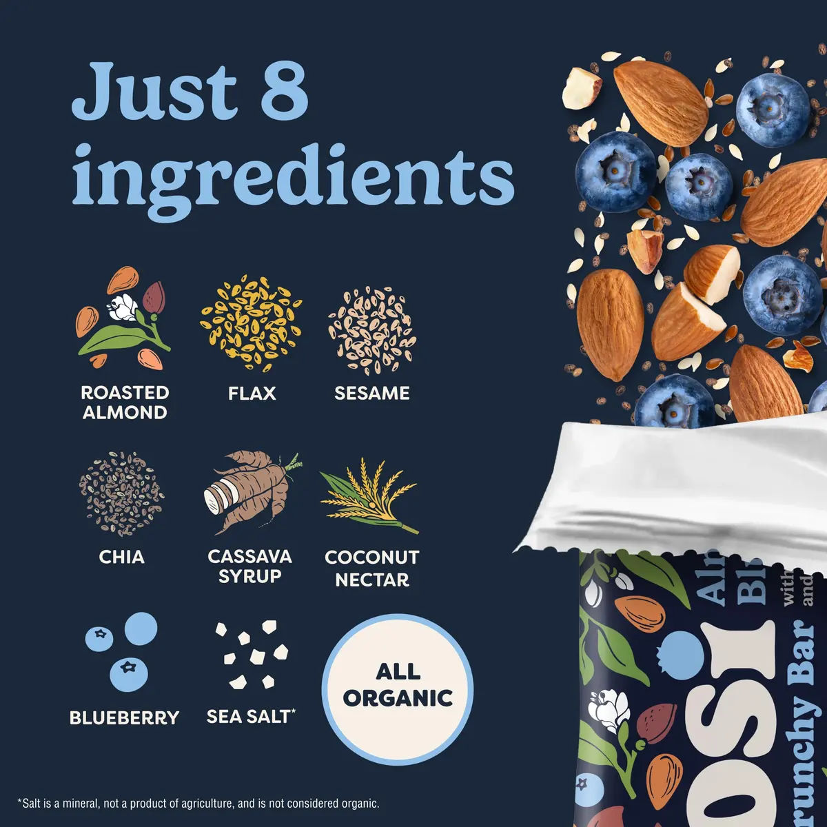 Tosi Plant-Based Nut Bars Almond Blueberry 12-Pack | 12g Protein, Gluten-Free, Vegan, Organic - view 5