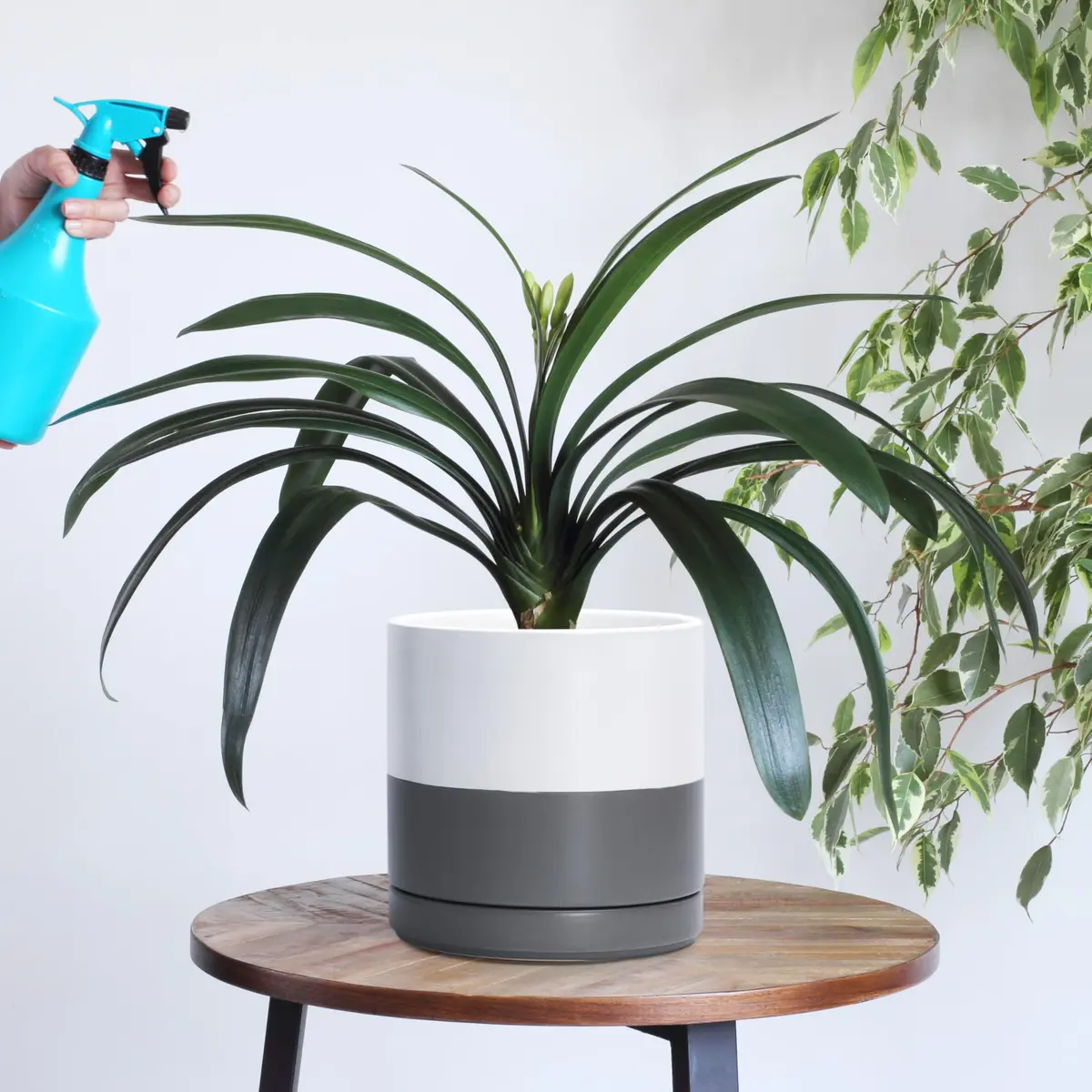 D'vine Dev 8.2 Inch Ceramic Planter Pot, White/Grey | Modern Cylinder with Drainage Hole - view 5