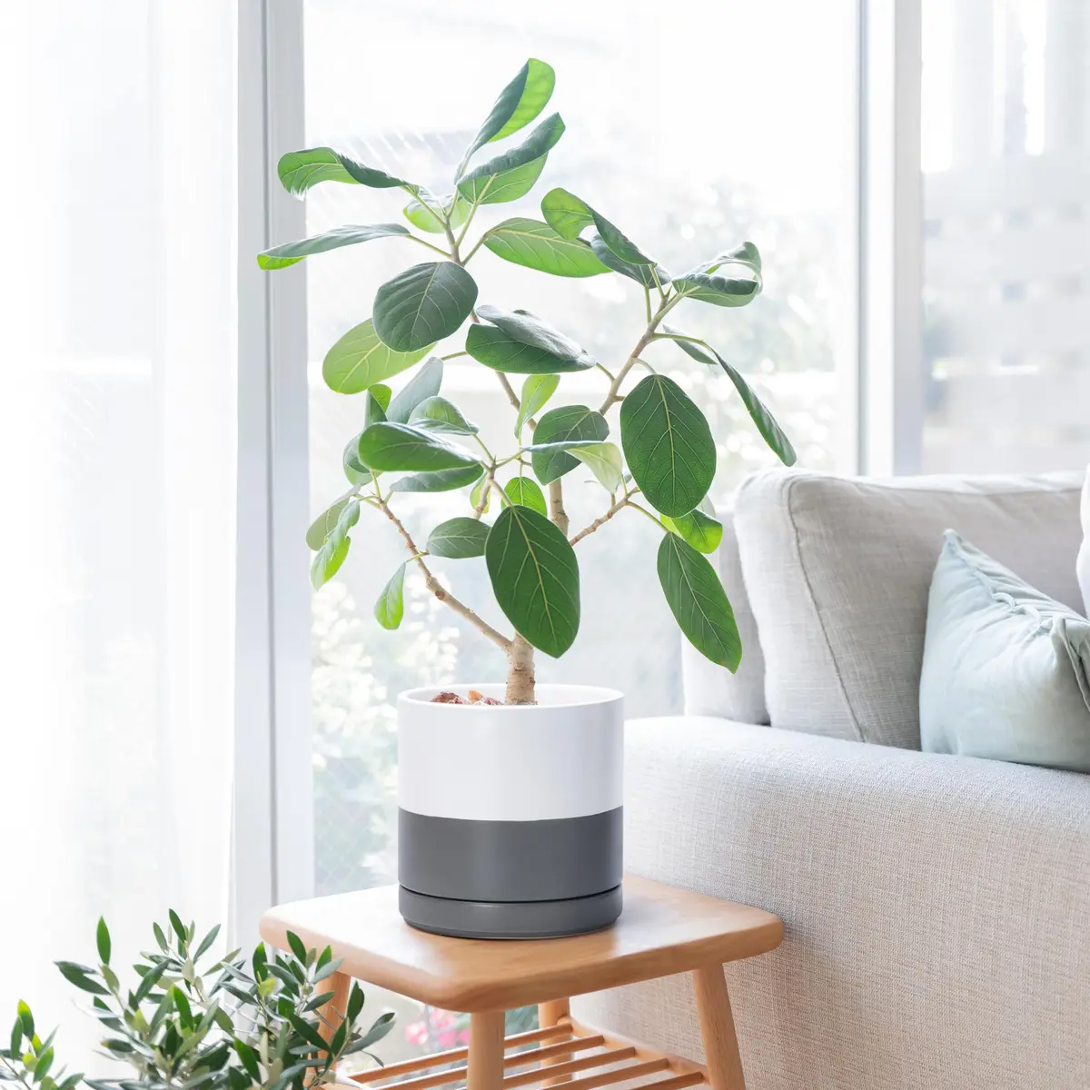 D'vine Dev 8.2 Inch Ceramic Planter Pot, White/Grey | Modern Cylinder with Drainage Hole - view 6