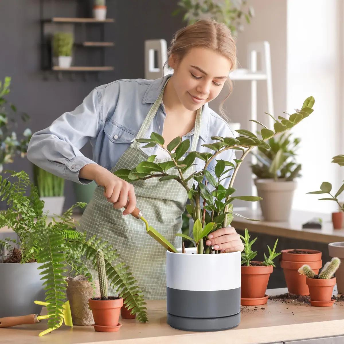 D'vine Dev 8.2 Inch Ceramic Planter Pot, White/Grey | Modern Cylinder with Drainage Hole - view 7
