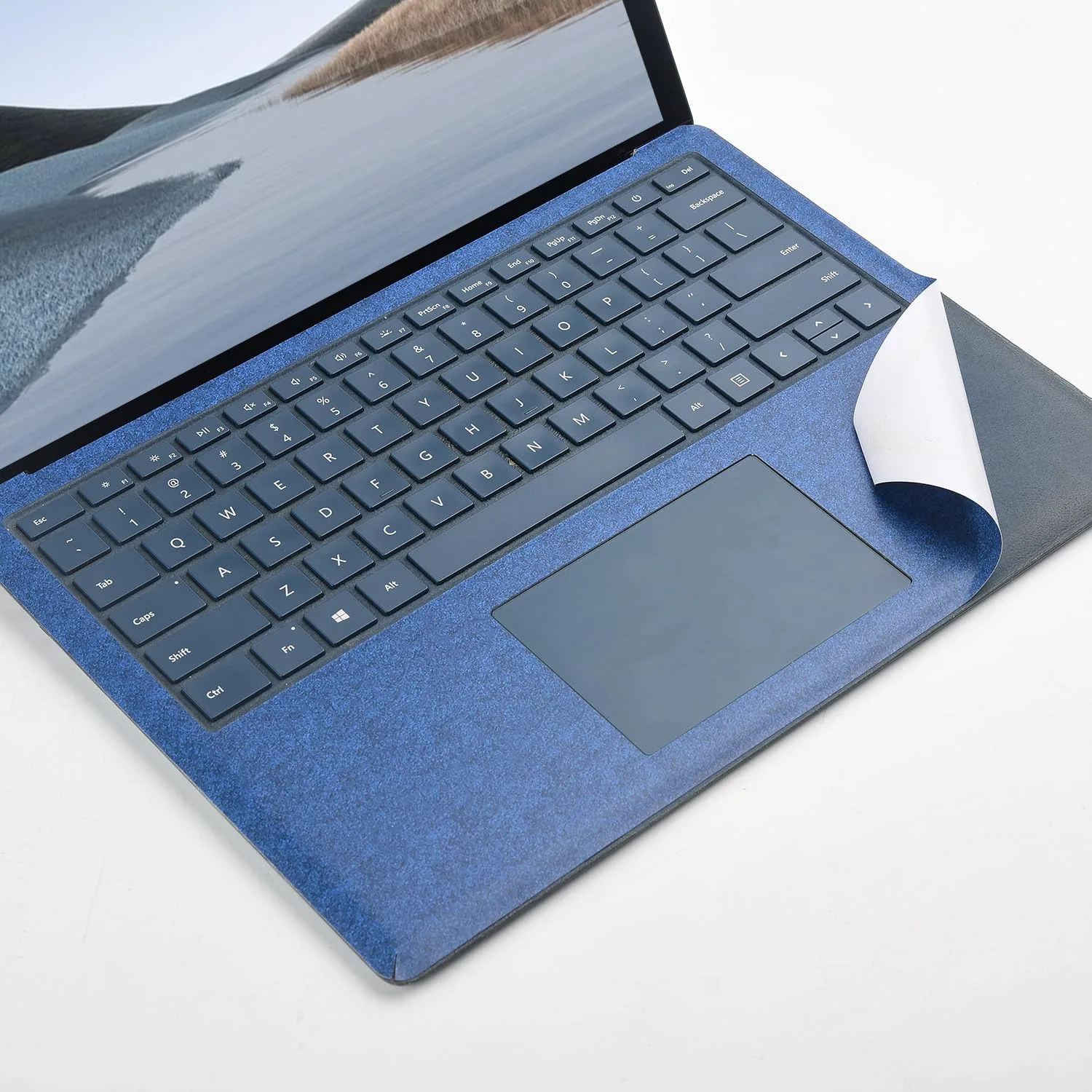 Electronic Device Skin