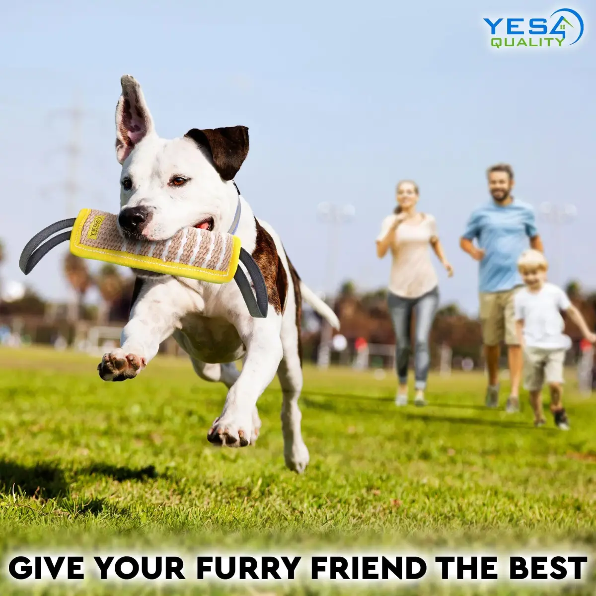 YES4QUALITY Dog Bite Tug Toy 30cm (12") x 8cm (3.2") | Jute Rope with 2 Handles for Medium-Large Dogs - view 8