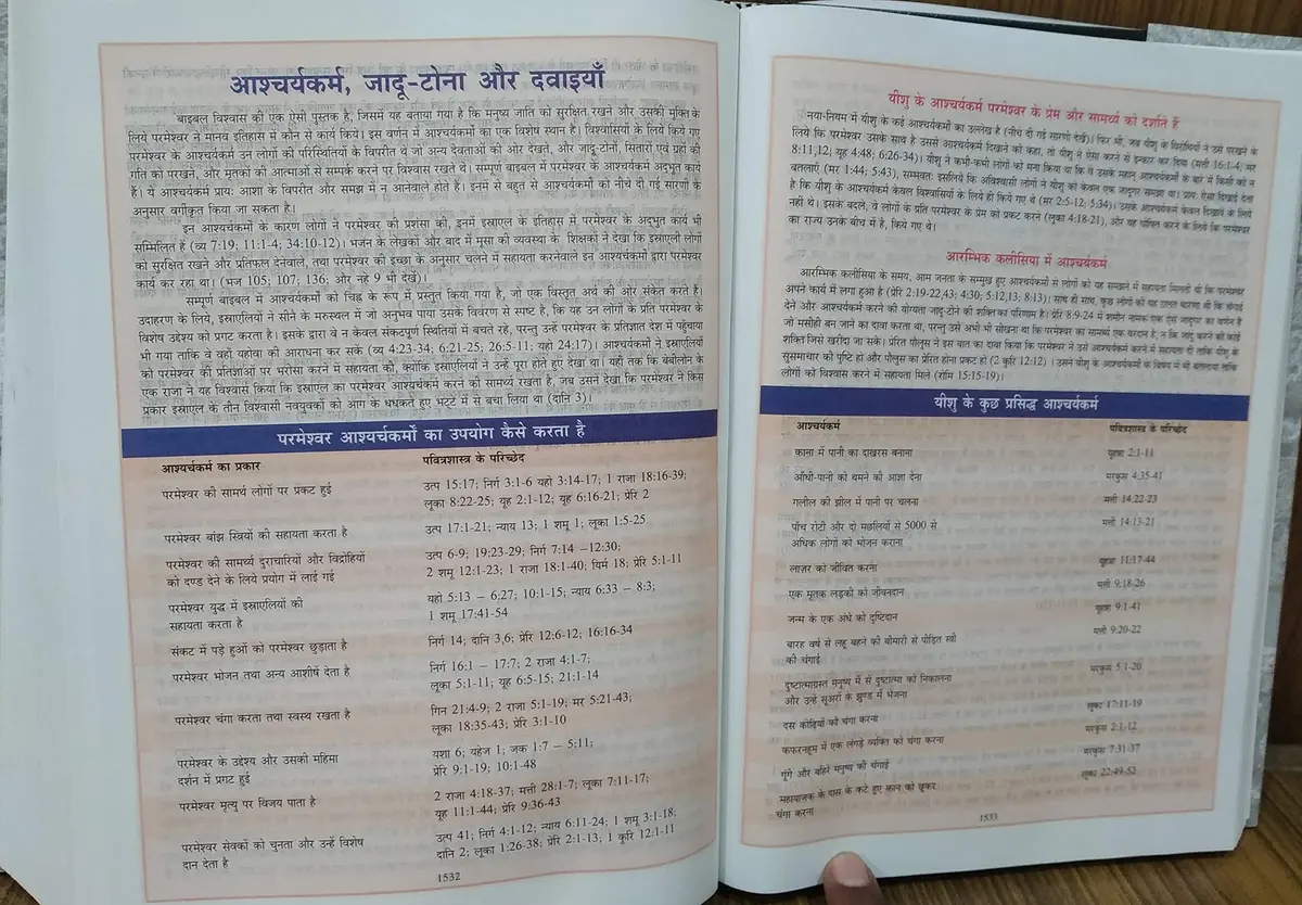 The Study Bible in Hindi Old and New Testament Large Print Edition | Updated 2018-2019 Version - view 4