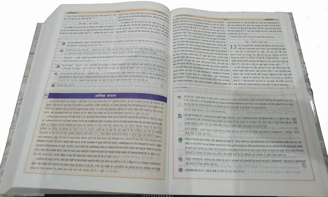 The Study Bible in Hindi Old and New Testament Large Print Edition | Updated 2018-2019 Version - view 2