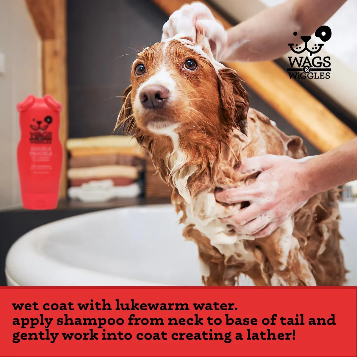 Wags & Wiggles 2-in-1 Dog Shampoo & Conditioner Fruity Watermelon 473ml (16 Fl Oz) | Gentle pH-Balanced Formula for All Dogs - view 4