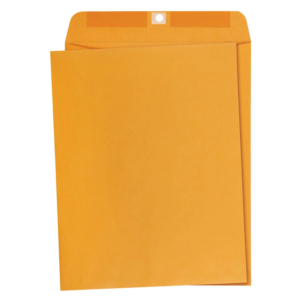 Amazon Basics Clasp Kraft Envelopes 10" x 13" (25.4cm x 33cm) | 100-Pack for Documents & Mailing - main product image