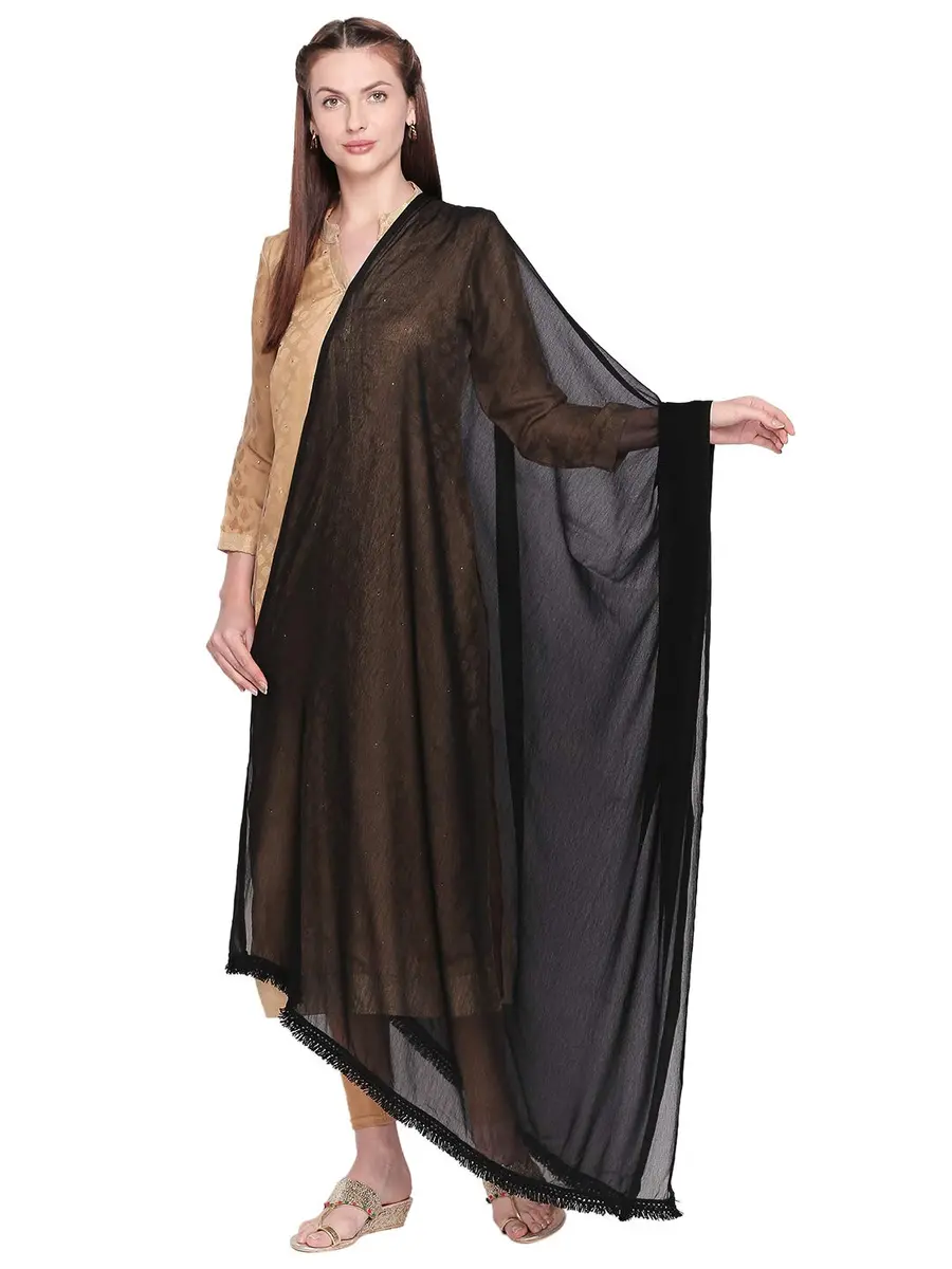 DUPATTA BAZAAR Woman's Black Chiffon Dupatta with lace border | Versatile ethnic accessory - main product image