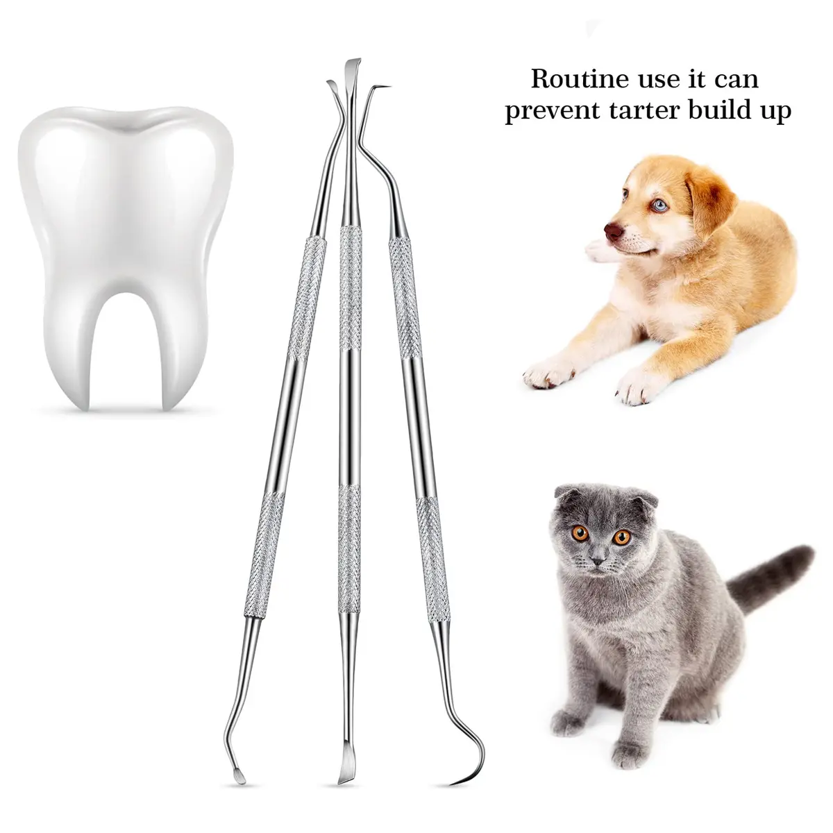 Hotop Stainless Steel Dog Tooth Scaler & Scraper 3 Pcs | Tartar & Plaque Removal Tool for Dogs - view 3