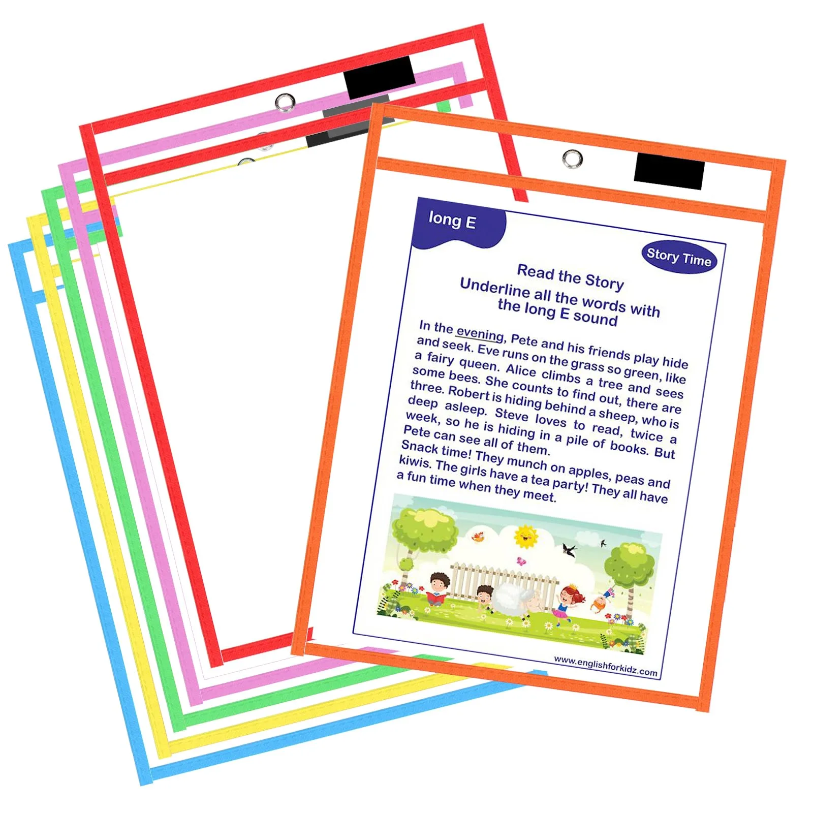Card Document Sleeve