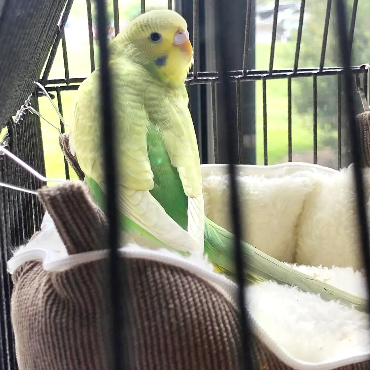 QBLEEV Bird Nest House Winter Warm Bird Bed for Cage Hanging Bird Hammock Soft Plush Snuggle Hut Tent, Large - view 4