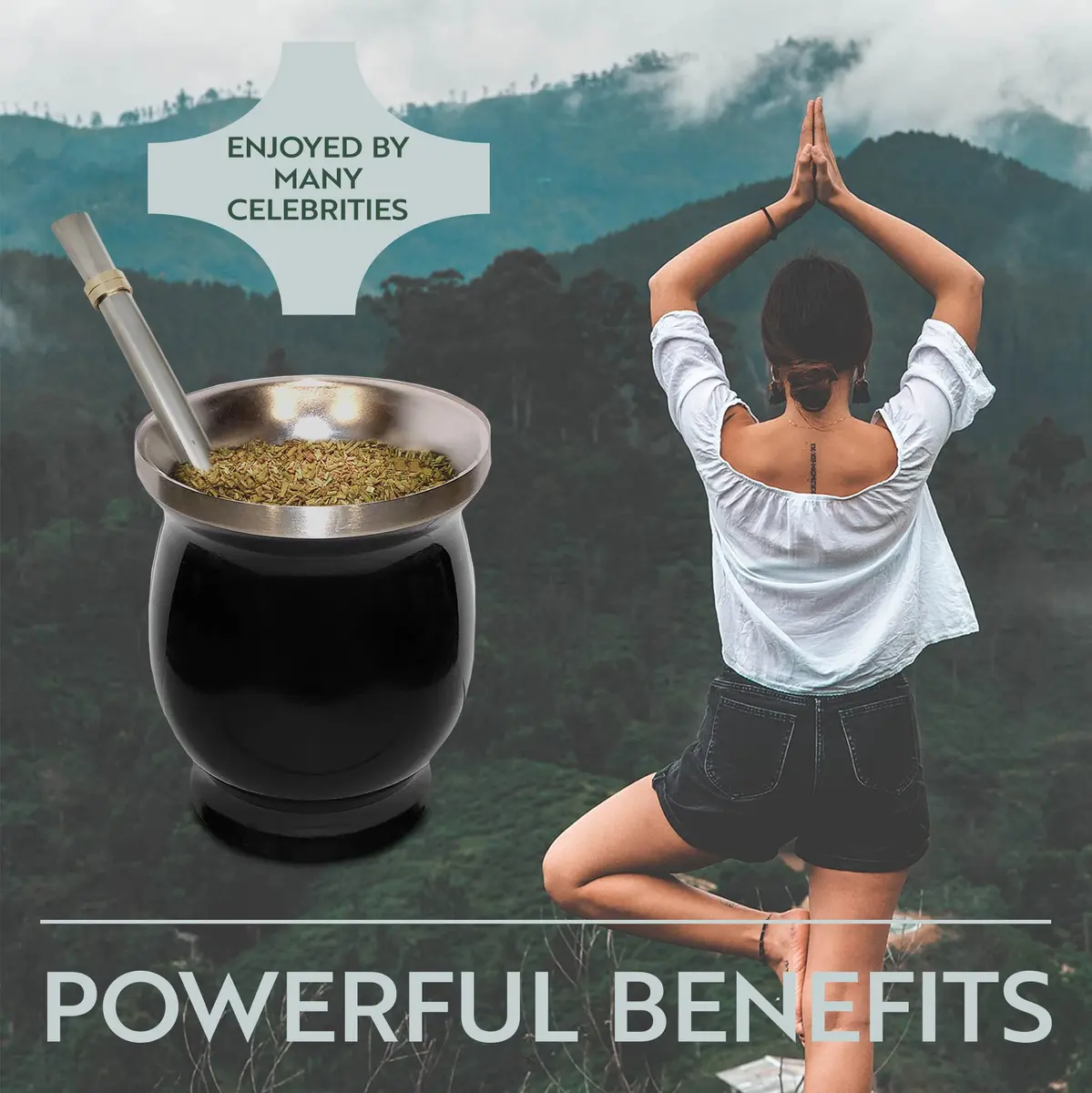 Norte Group Stainless Steel Double-Walled Yerba Mate Gourd Tea Cup Set with Bombilla & Brush | 8oz (237ml) Black - view 5