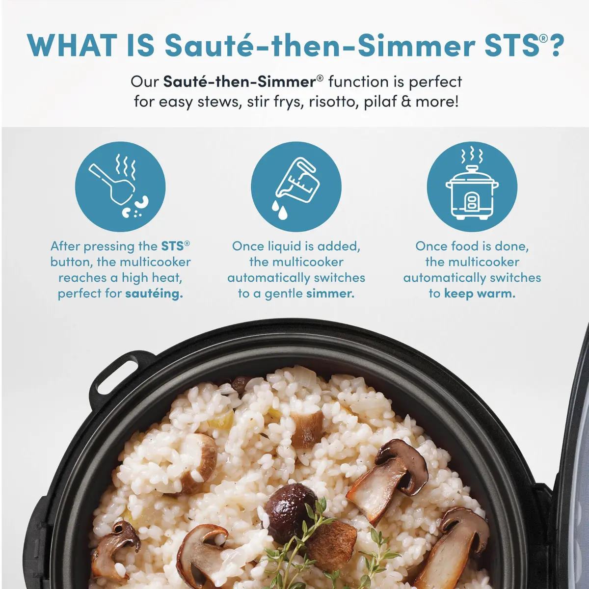 AROMA Professional 8-Cup Digital Rice & Grain Multicooker 2Qt | Versatile Cooking with Sauté-then-Simmer STS® - view 4