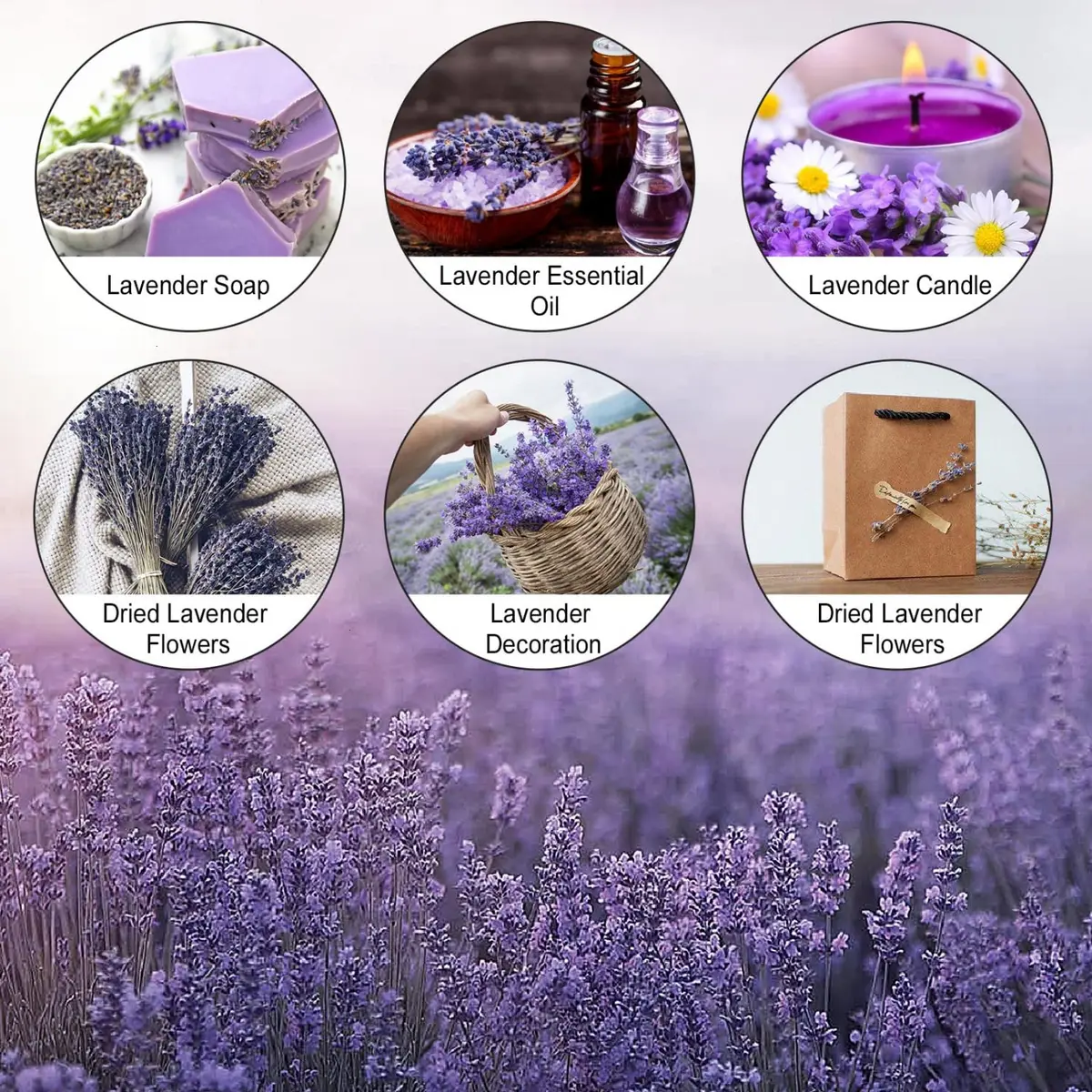 June Fox Dried Lavender Flowers 270-300 Stems | Natural Home Decoration & Fragrance (120 chars) - view 5