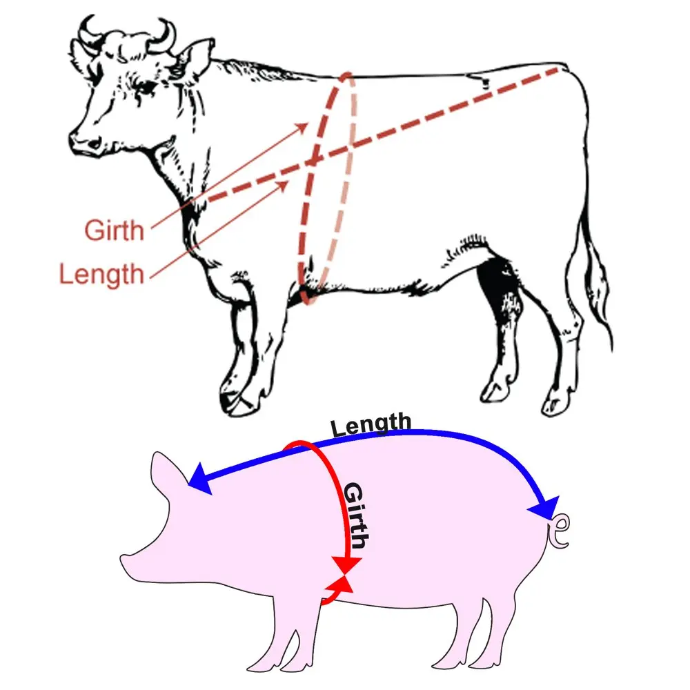 WIN TAPE 250cm Cattle & Pig Weight Tape Measure | Measures Live & Dead Weight - view 7