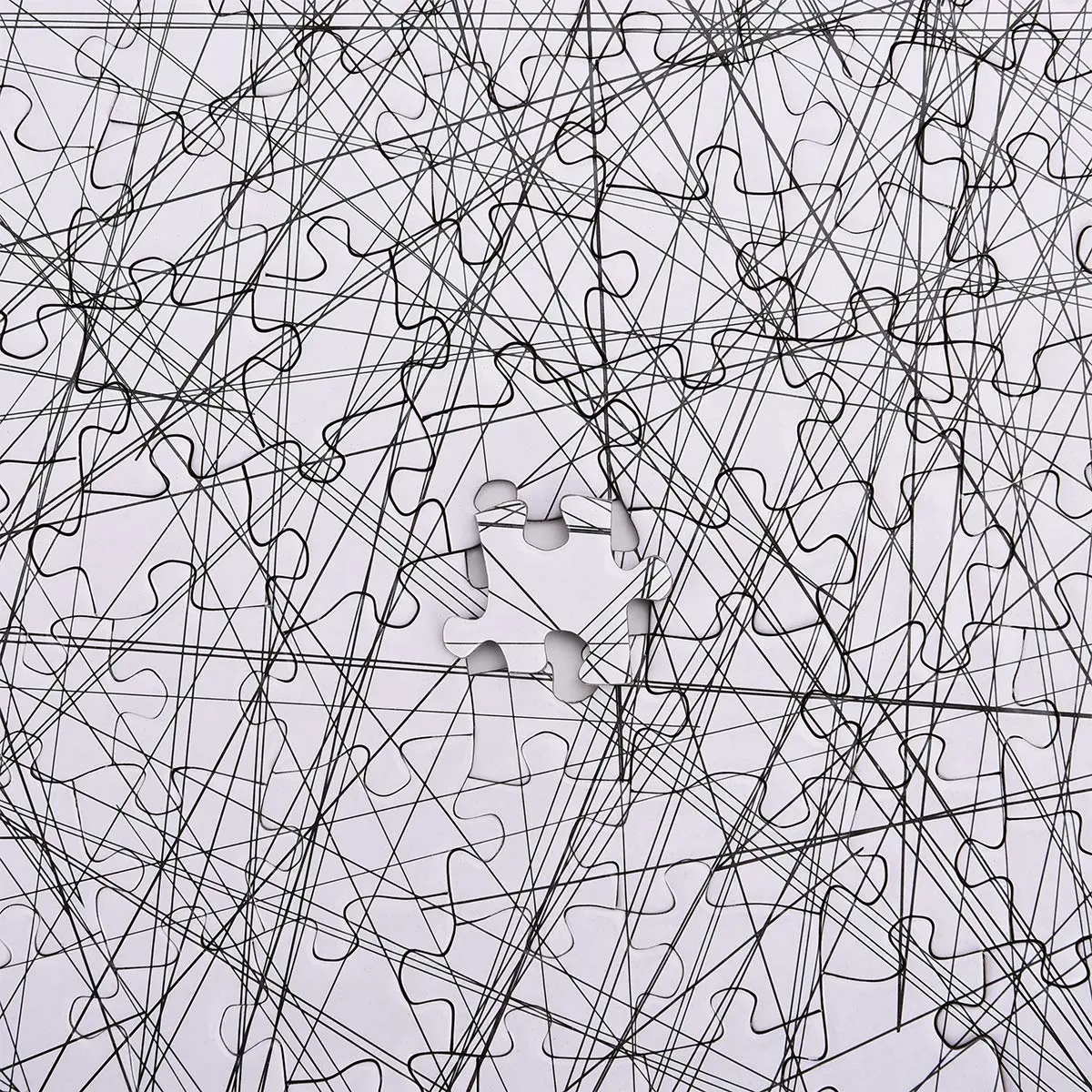 Bgraamiens Puzzle-The Lines 1000 Pieces | Challenging Black & White Art Puzzle for Adults & Kids - view 6