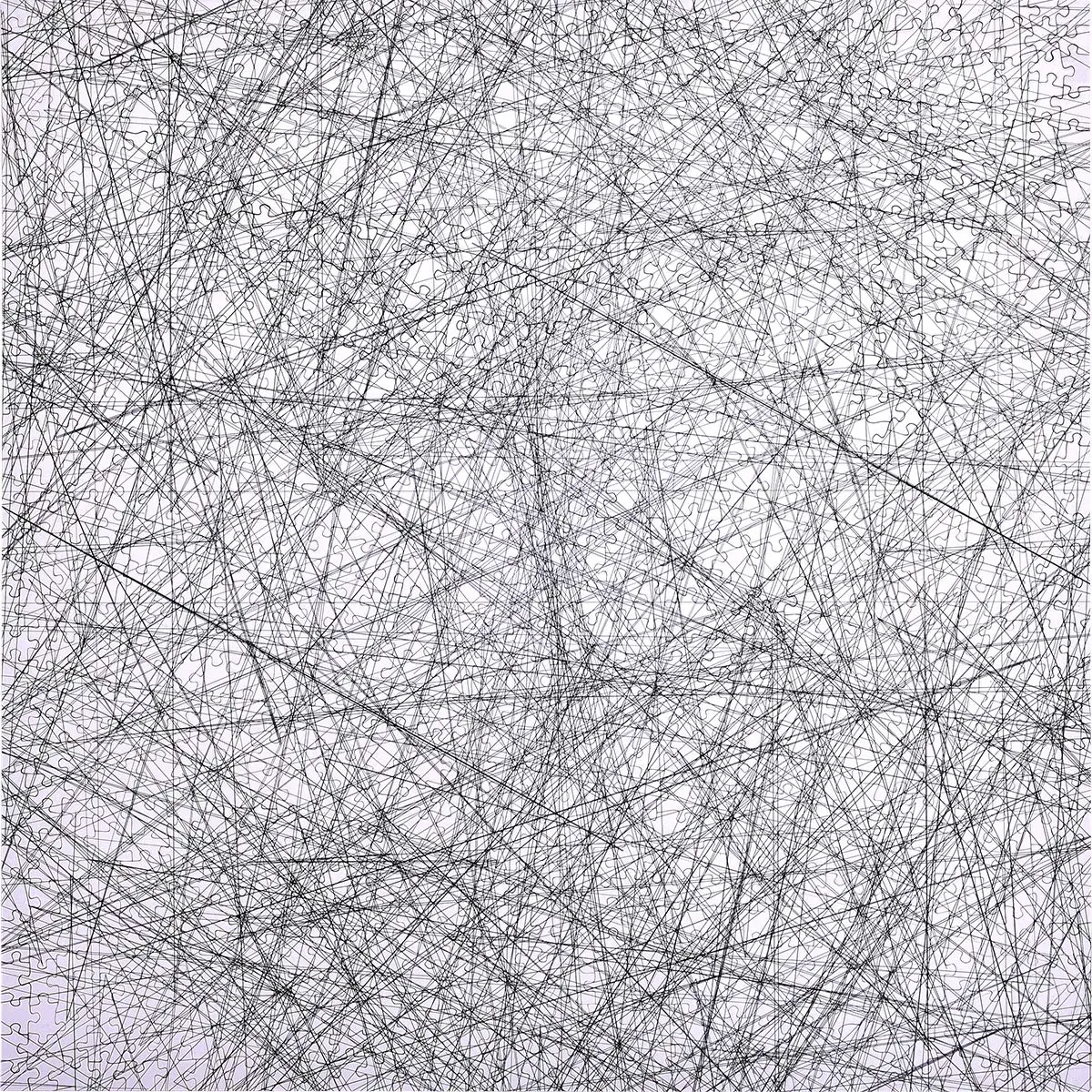 Bgraamiens Puzzle-The Lines 1000 Pieces | Challenging Black & White Art Puzzle for Adults & Kids - view 8