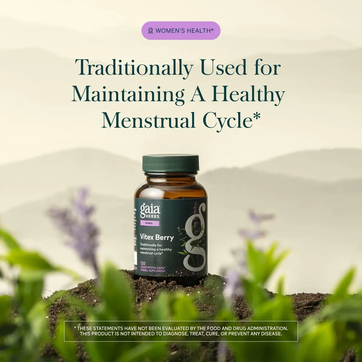 Gaia Herbs Vitex Berry 1000 mg Organic Chaste Tree Vegan Liquid Phyto-Caps 120 Count (60 Servings) | Supports Hormone Balance & Healthy Menstrual Cycle - view 3