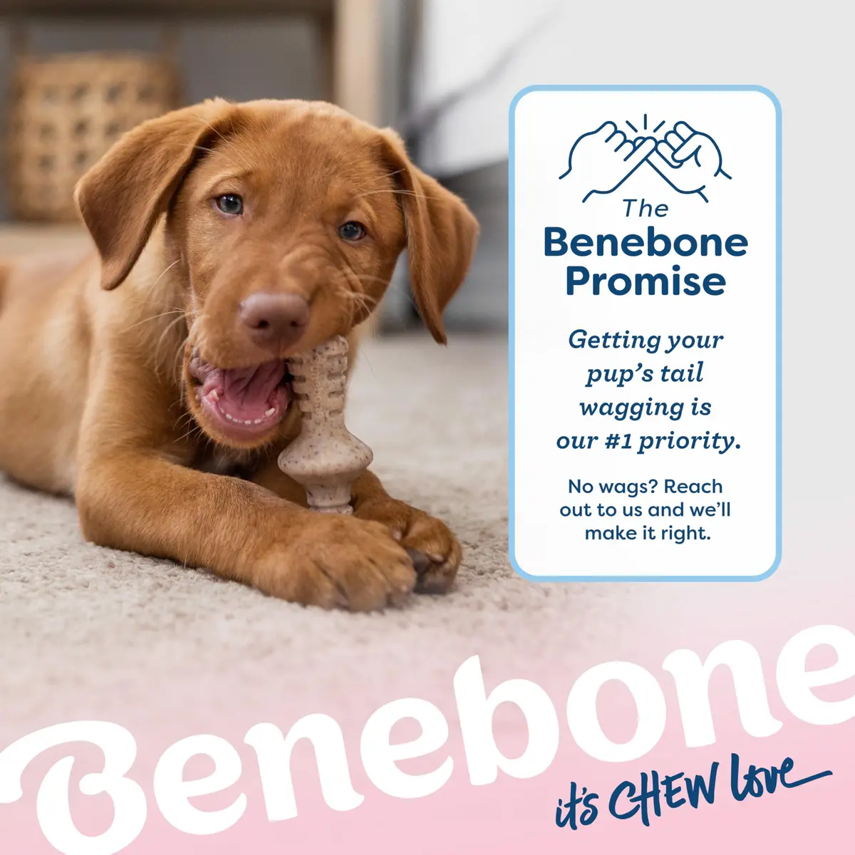 Benebone Puppy 2-Pack Maplestick/Zaggler Dog Chew Toys, Tiny | Durable Nylon Chew for Teething Pups - view 6
