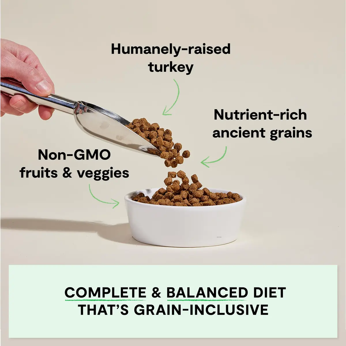 Open Farm Ancient Grains Dry Dog Food, Homestead Turkey Kibble, 1.81kg (4lb) | Heart-Healthy & Balanced Nutrition - view 2