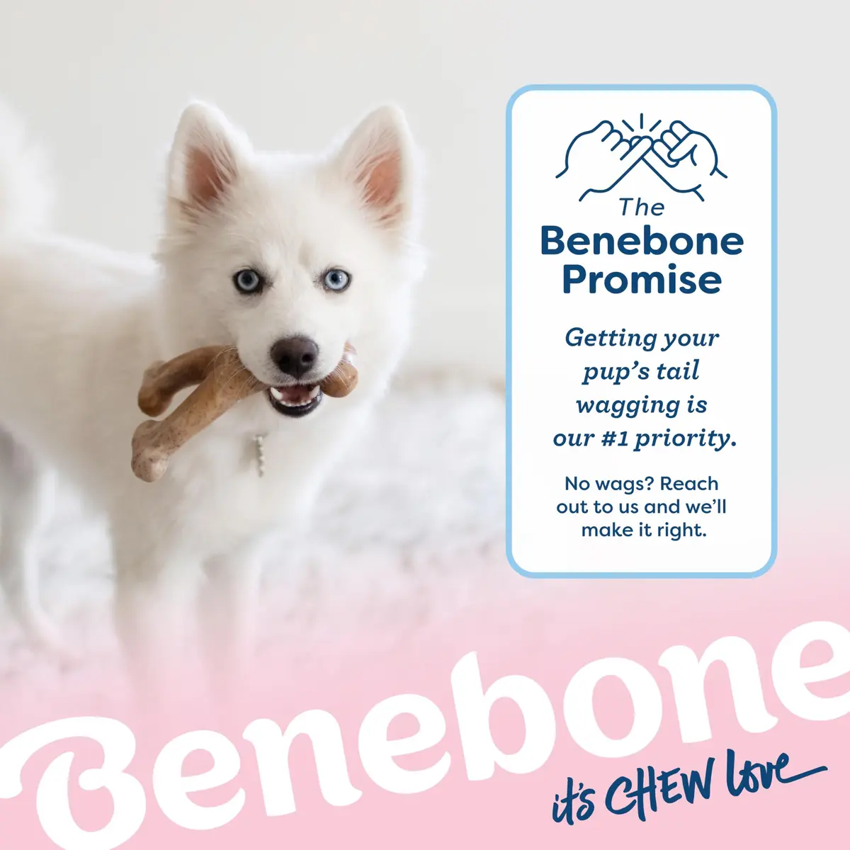 Benebone Puppy Wishbone Dog Chew Toy, Real Bacon, Small | Durable Nylon Chew for Teething Pups - view 6