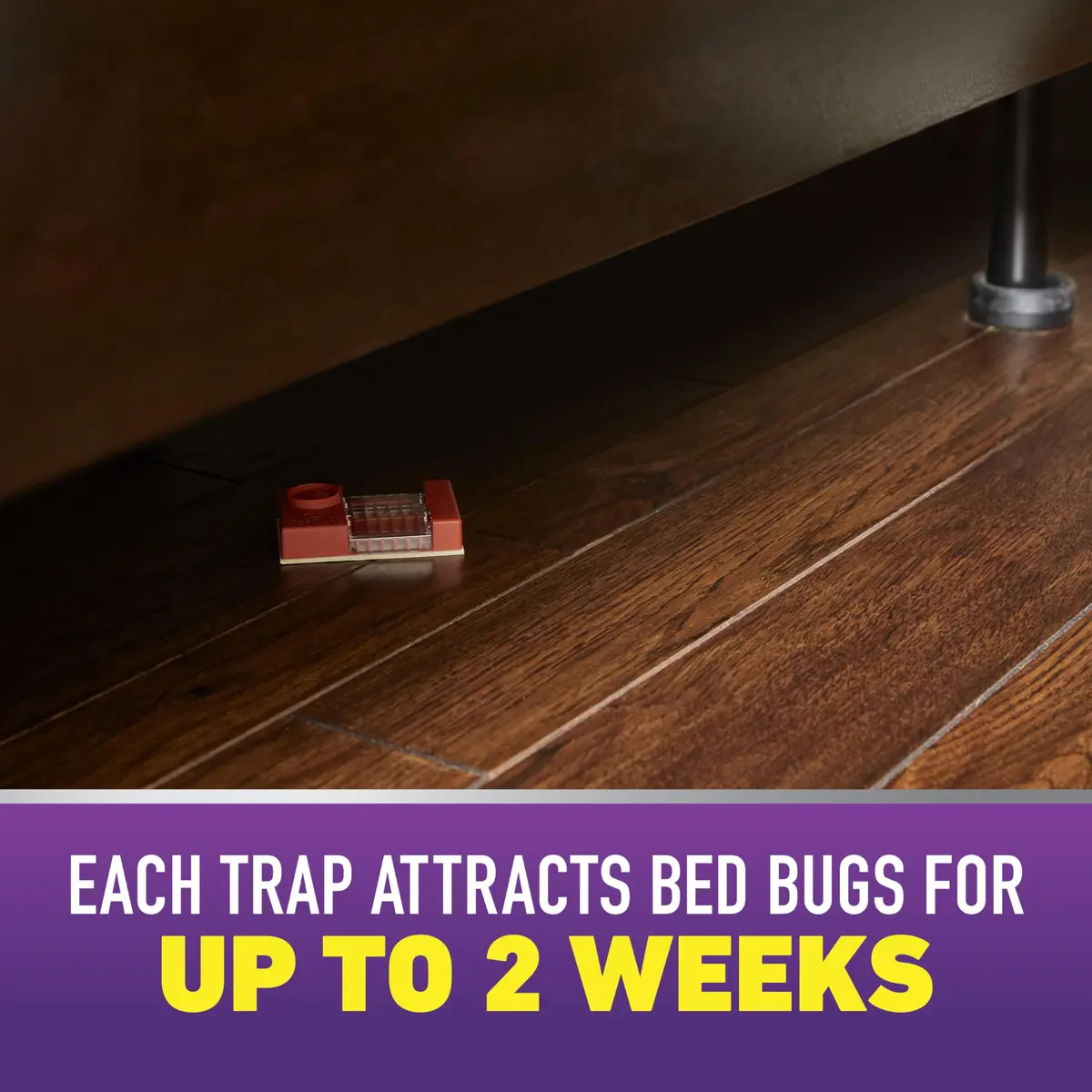 Ortho Home Defense Max Bed Bug Trap, 2 Traps | Detect & Trap Bed Bugs - view 5
